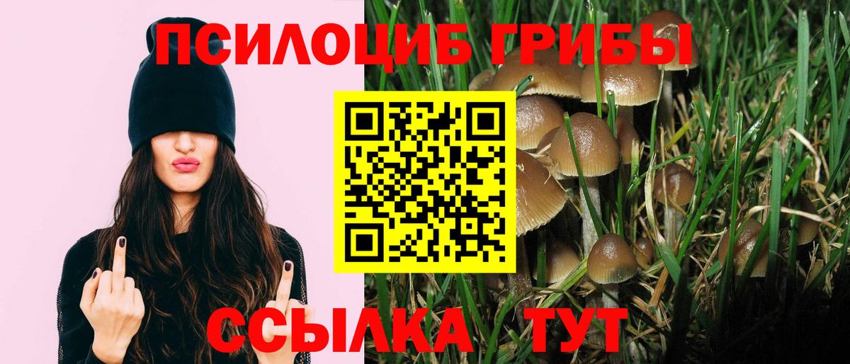 Галлюциногенные грибы мухоморы  Вход с VPN  Славгород 