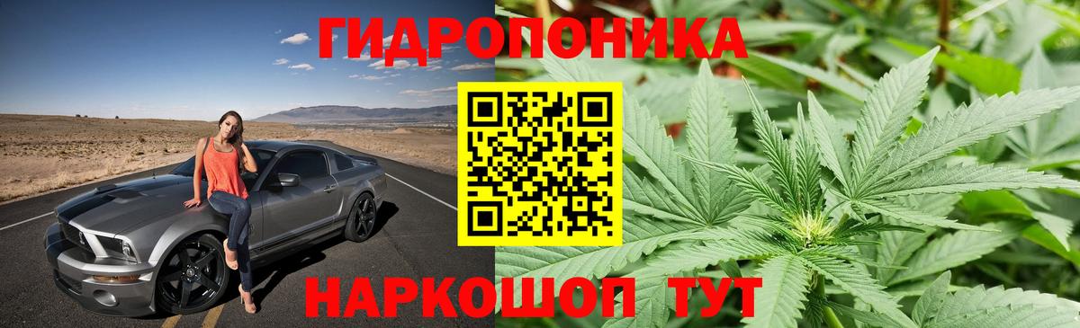 Конопля конопля Славгород